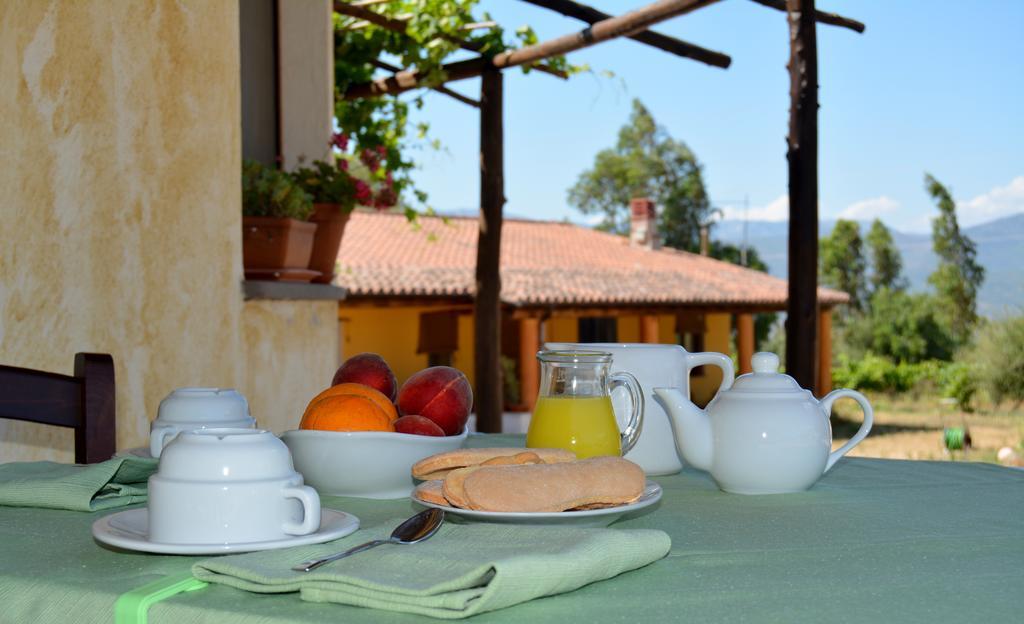 Agriturismo Rubinu Galtellì Esterno foto