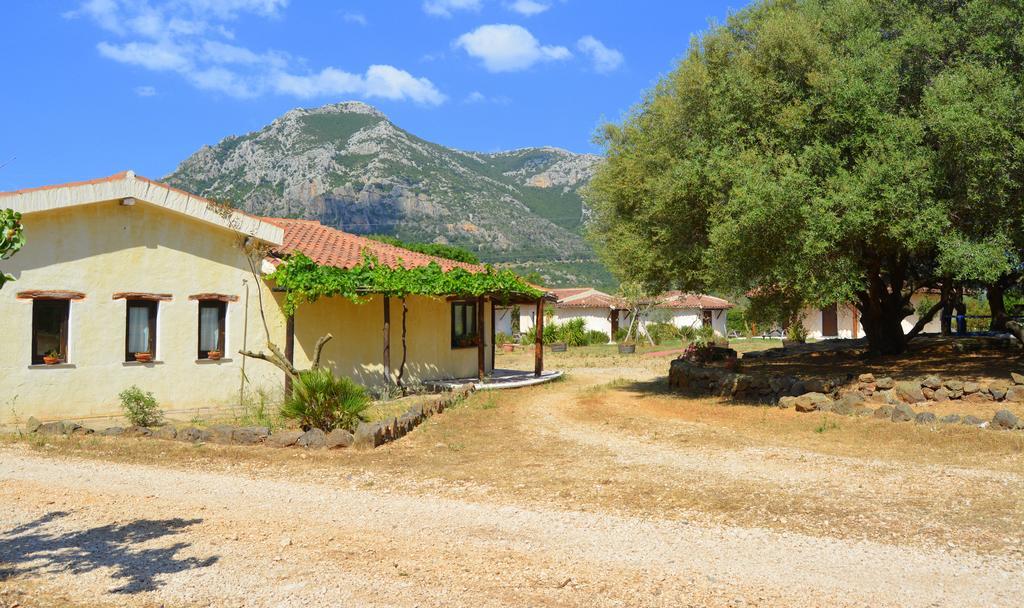 Agriturismo Rubinu Galtellì Esterno foto